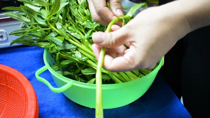 Nhặt bỏ l&aacute; rau ngổ
