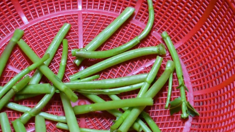 Ngắt rau ngổ th&agrave;nh kh&uacute;c vừa ăn