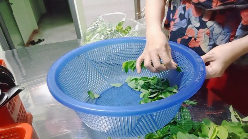 Nh&eacute;t c&agrave;nh rau ng&oacute;t v&agrave;o lỗ của rổ