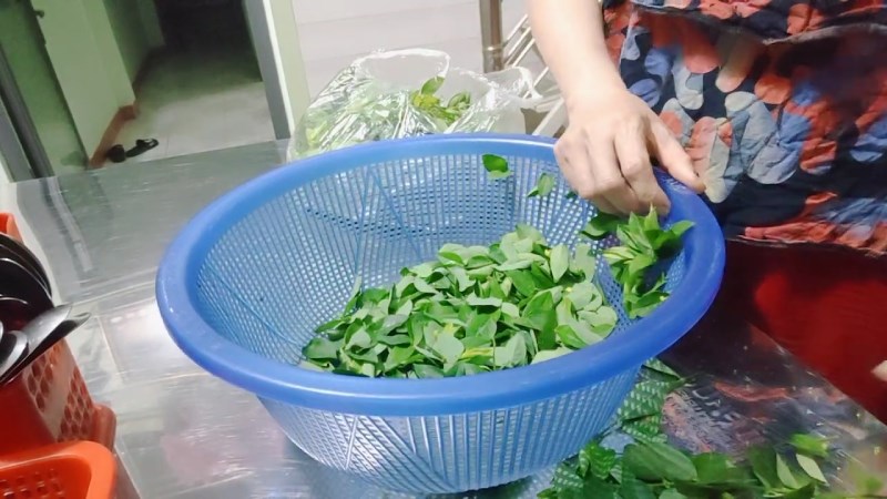 K&eacute;o mạnh c&agrave;nh rau qua lỗ của rổ