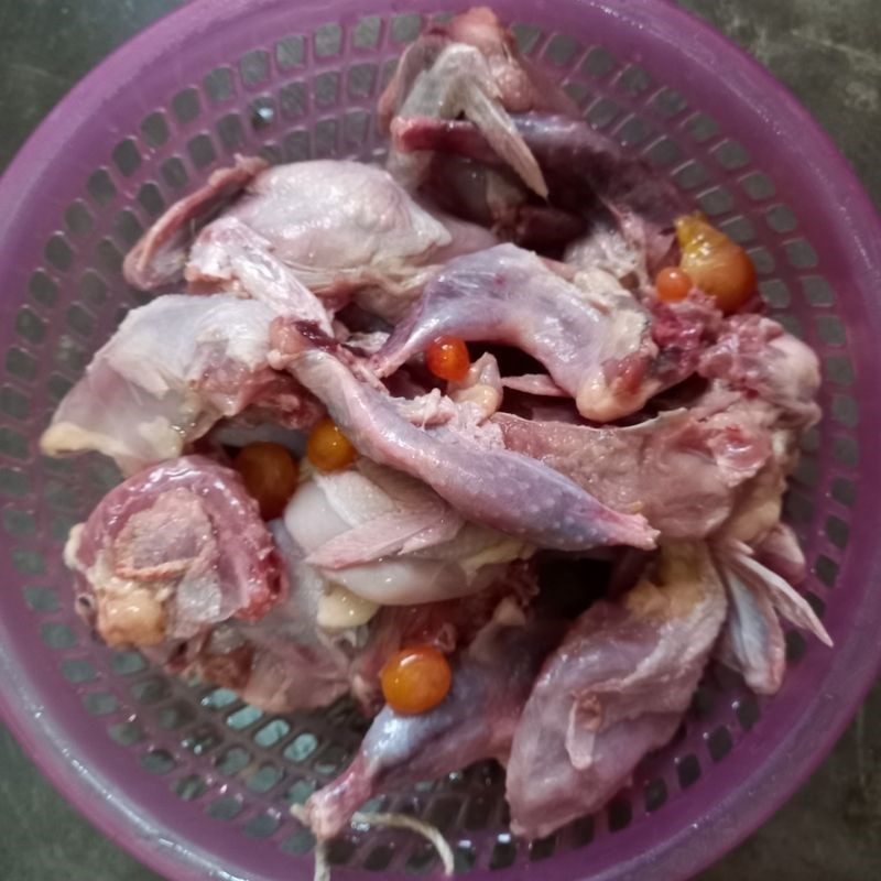 Bước 1 Sơ chế chim cút Chim cút rôti