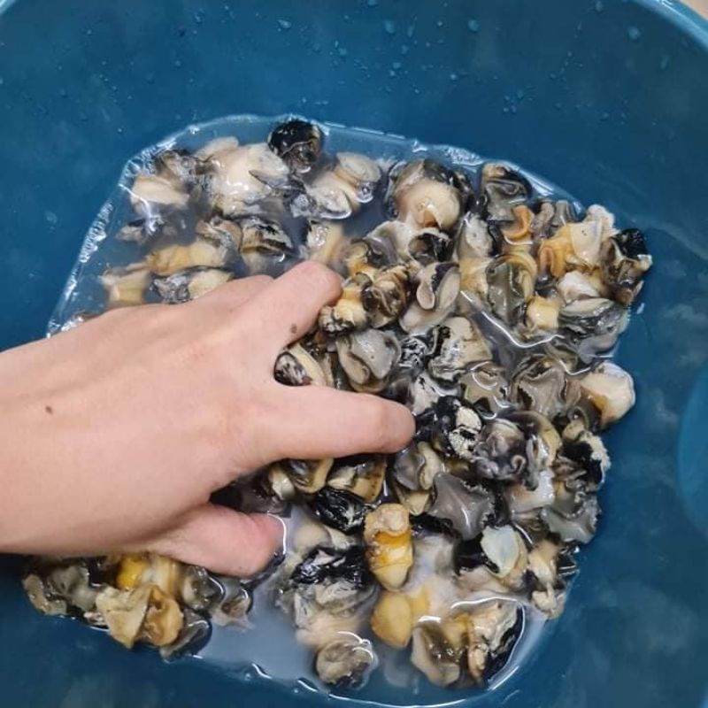 Bước 1 Sơ chế ốc Bún ốc dọc mùng