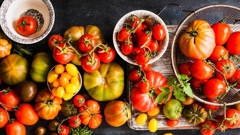 C&agrave; chua l&agrave; g&igrave;?