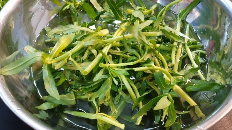 Rửa rau ngổ 