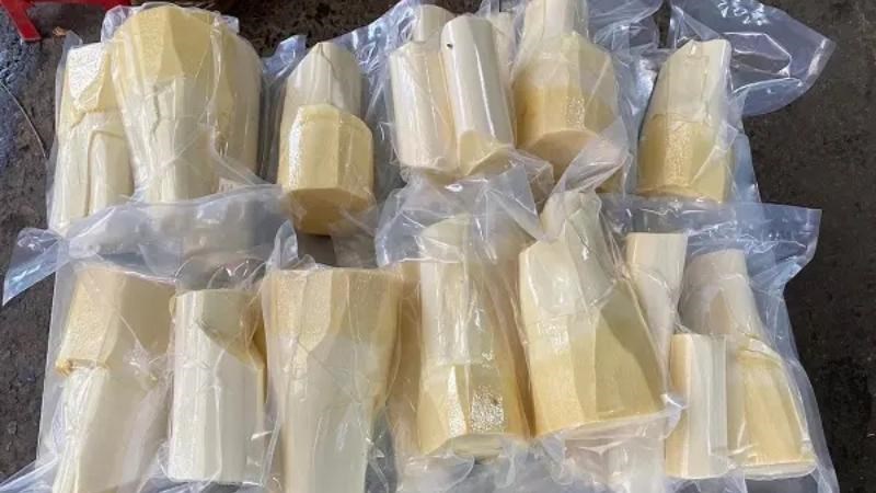 Hút chân không để bảo quản củ hủ dừa trong tủ lạnh