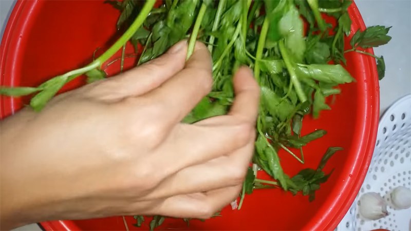 Nhặt bỏ phần l&aacute; &uacute;ng, hỏng của cần ta