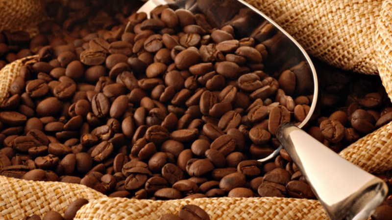 Lựa chọn hạt pha c&agrave; ph&ecirc;