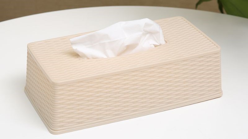 Hộp đựng giấy nhựa 24.7 x 12.5 x 7.5 cm BHX TN-916092