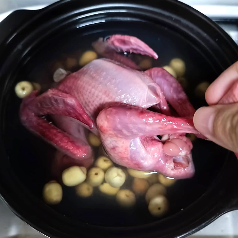 Bước 2 Hầm bồ câu Bồ câu hầm đậu đen hạt sen