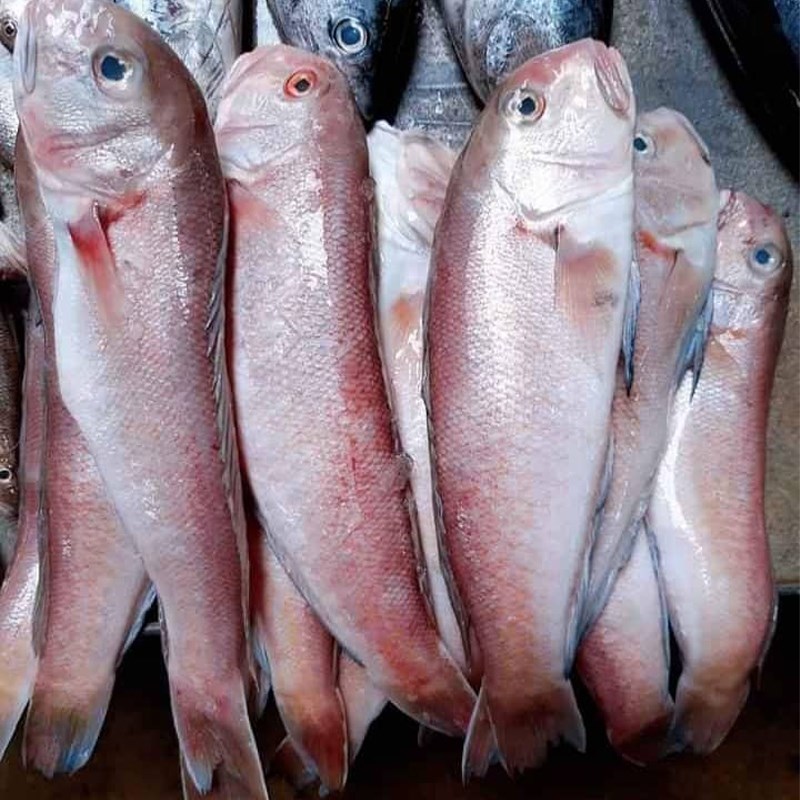 Bước 1 Sơ chế nguyên liệu Cá mắm kho
