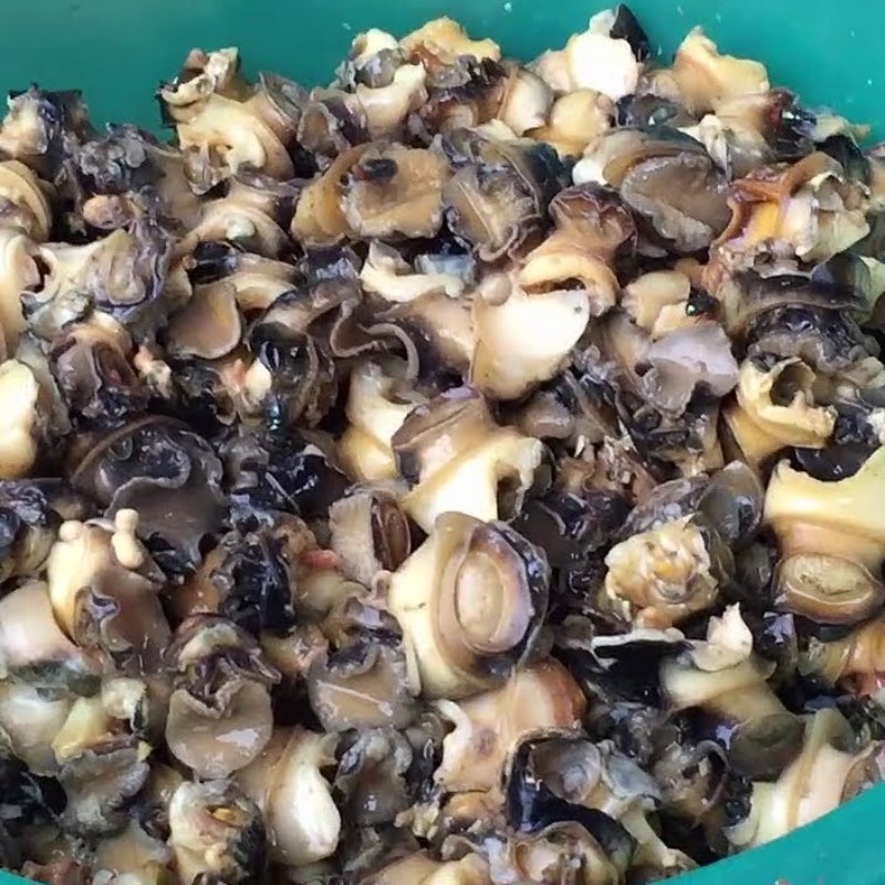 Bước 1 Sơ chế nguyên liệu Ốc bươu xào sả nghệ