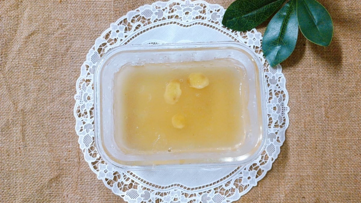 Rau câu rong sụn