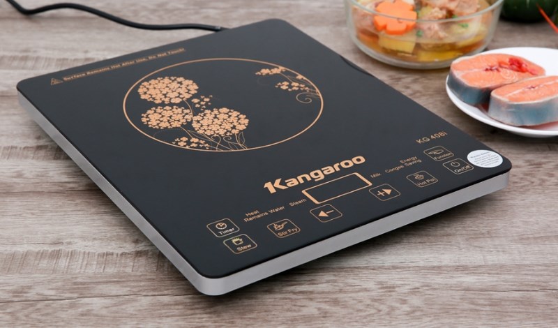 Bếp từ Kangaroo KG408I
