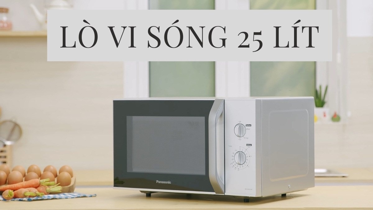 Top 5 loại lò vi sóng 25 lít