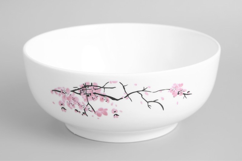 T&ocirc; canh sứ 18 cm Delites SJP-601