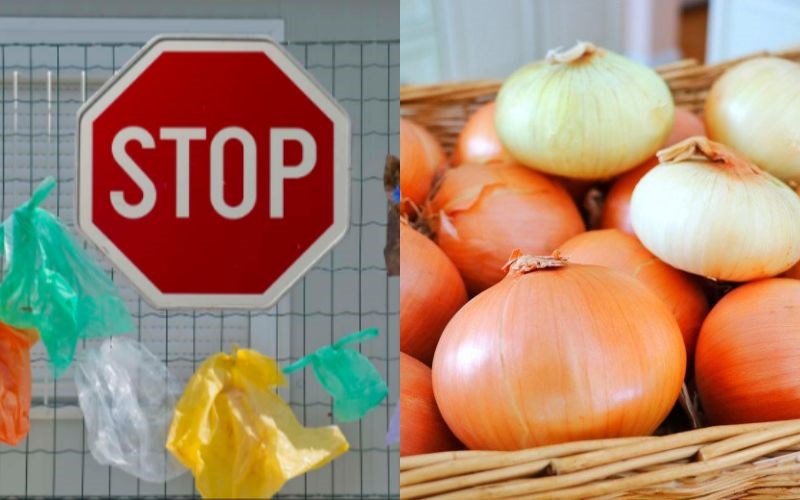 Kh&ocirc;ng sử dụng t&uacute;i nhựa bảo quản h&agrave;nh t&acirc;y