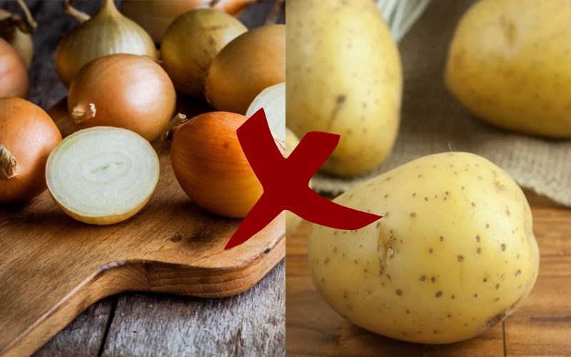 Kh&ocirc;ng bảo quản h&agrave;nh t&acirc;y c&ugrave;ng với khoai t&acirc;y