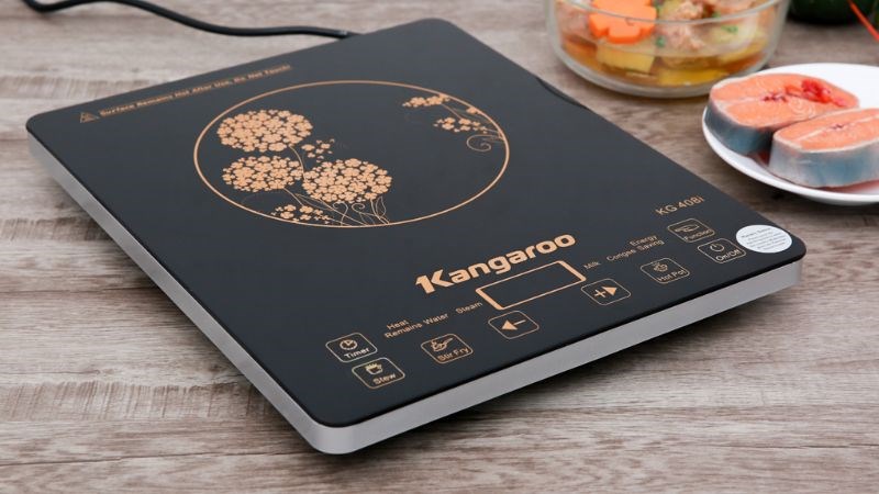 Bếp từ Kangaroo KG408I