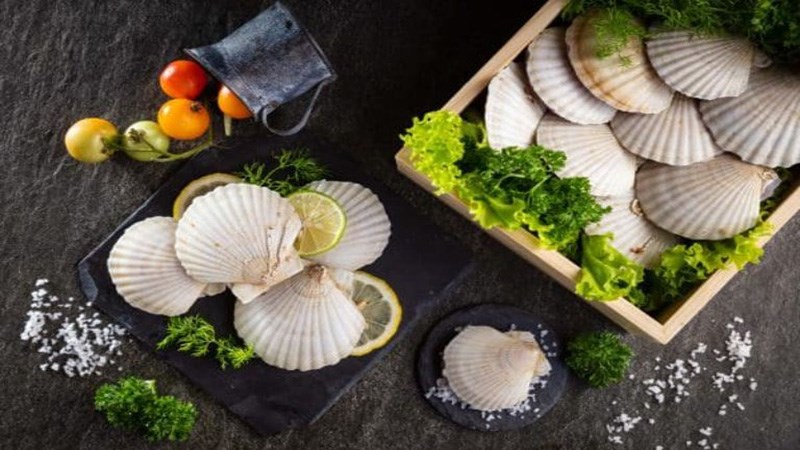 Lợi &iacute;ch của s&ograve; điệp 