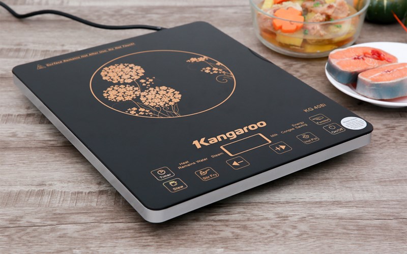 Bếp từ Kangaroo KG408I