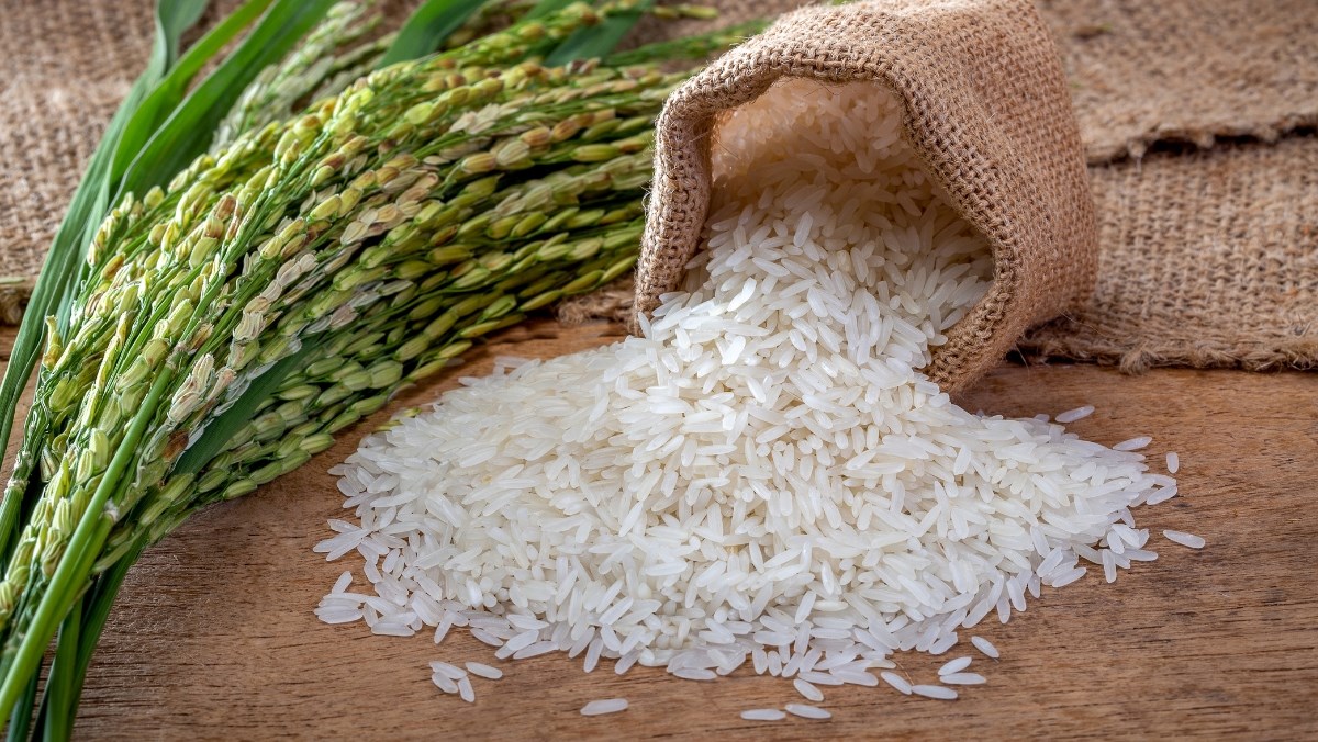 Ingredients for cooking rice with a mini hot pot