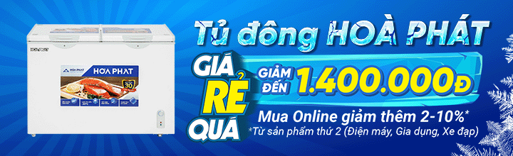 Tủ đông Hòa Phát