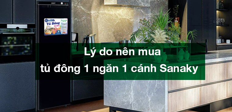 5 lý do nên mua tủ đông 1 ngăn 1 cánh Sanaky cho gia đình bạn