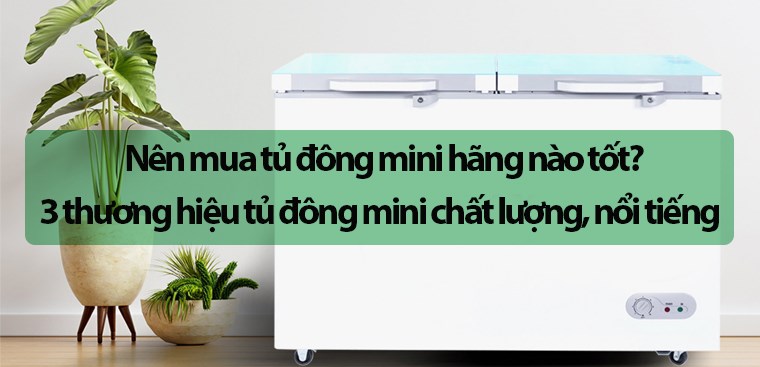 Nên mua tủ đông mini hãng nào tốt? 3 thương hiệu tủ đông mini chất lượng, nổi tiếng