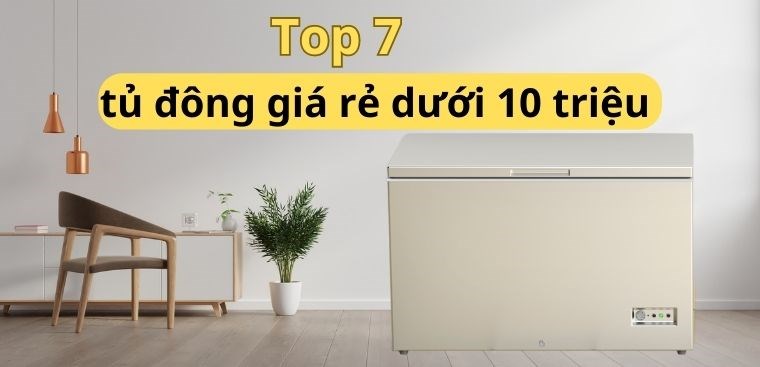 Top 7 tủ đông giá rẻ dưới 10 triệu đáng sở hữu nhất hiện nay