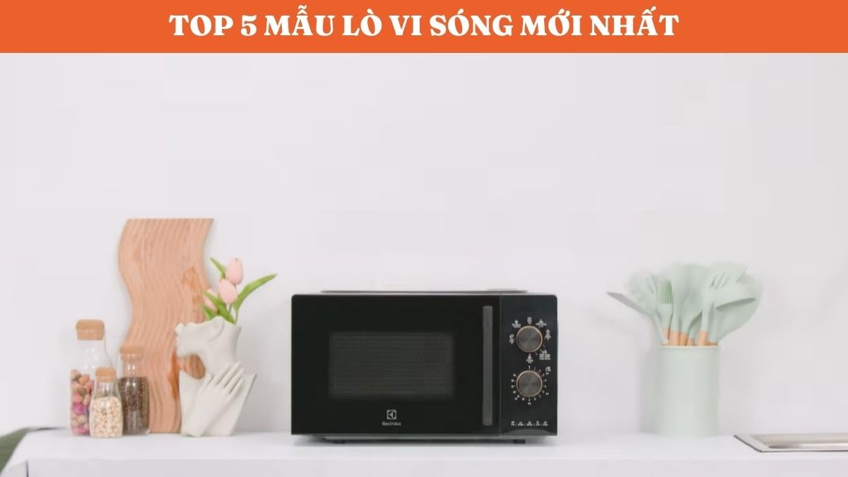 Các loại lò vi sóng mới nhất