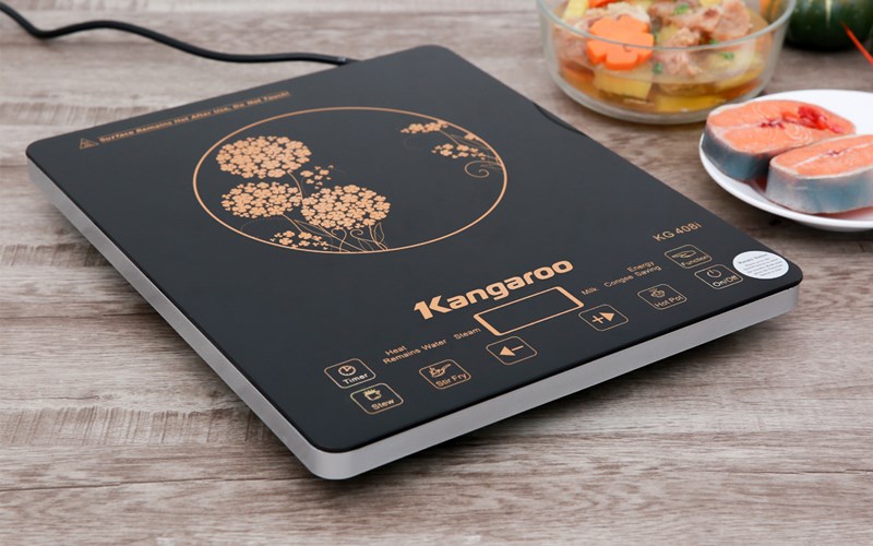 Bếp từ Kangaroo KG408I