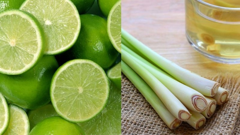 Sử dụng chanh tươi v&agrave; sả khử m&ugrave;i nhựa mới cho cối xay sinh tố