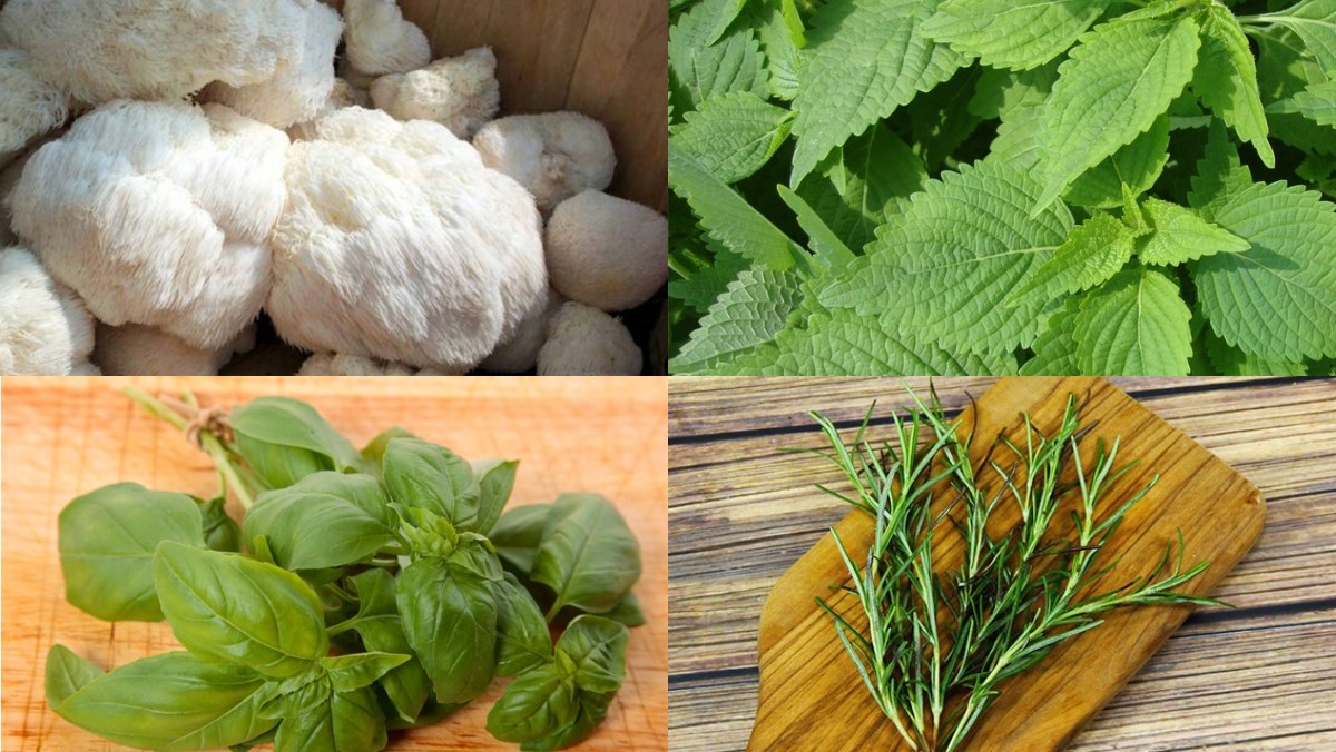 Nguyên liệu món ăn bít tết chay