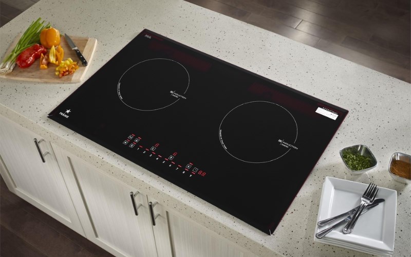 Bếp từ đ&ocirc;i lắp &acirc;m Pramie 2201