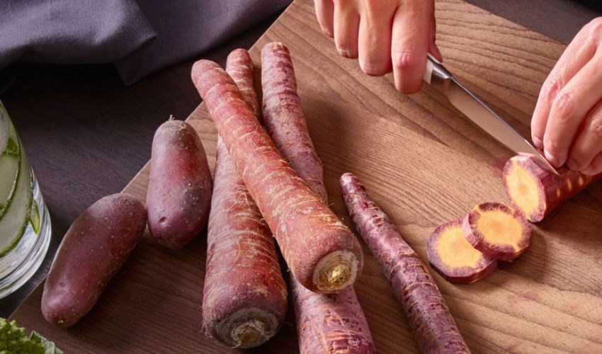 Hướng dẫn sử dụng máy ép trái cây Philips