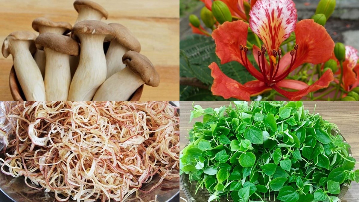 Cách làm gỏi nấm đùi gà