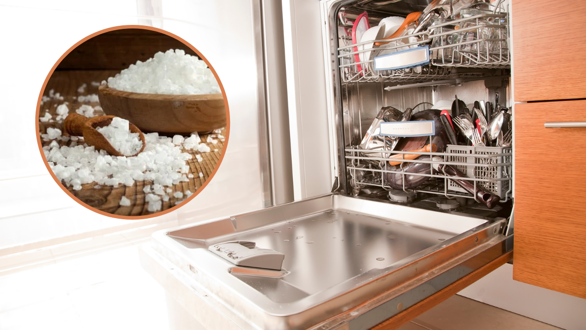 Máy rửa bát có cần muối không? 5 công dụng khác của máy rửa bát ít ai biết