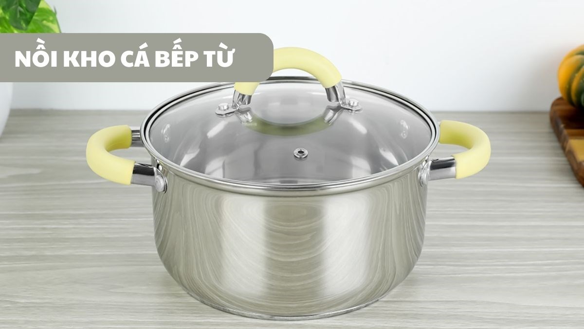 Nồi kho cá bếp từ