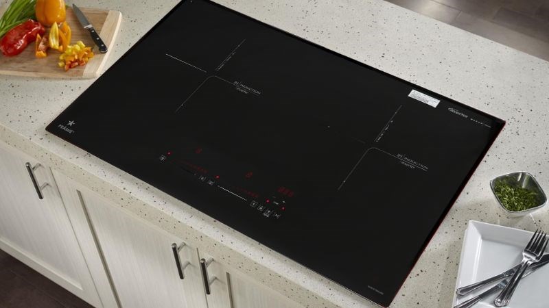 Bếp từ đ&ocirc;i lắp &acirc;m Pramie PRTH-2022