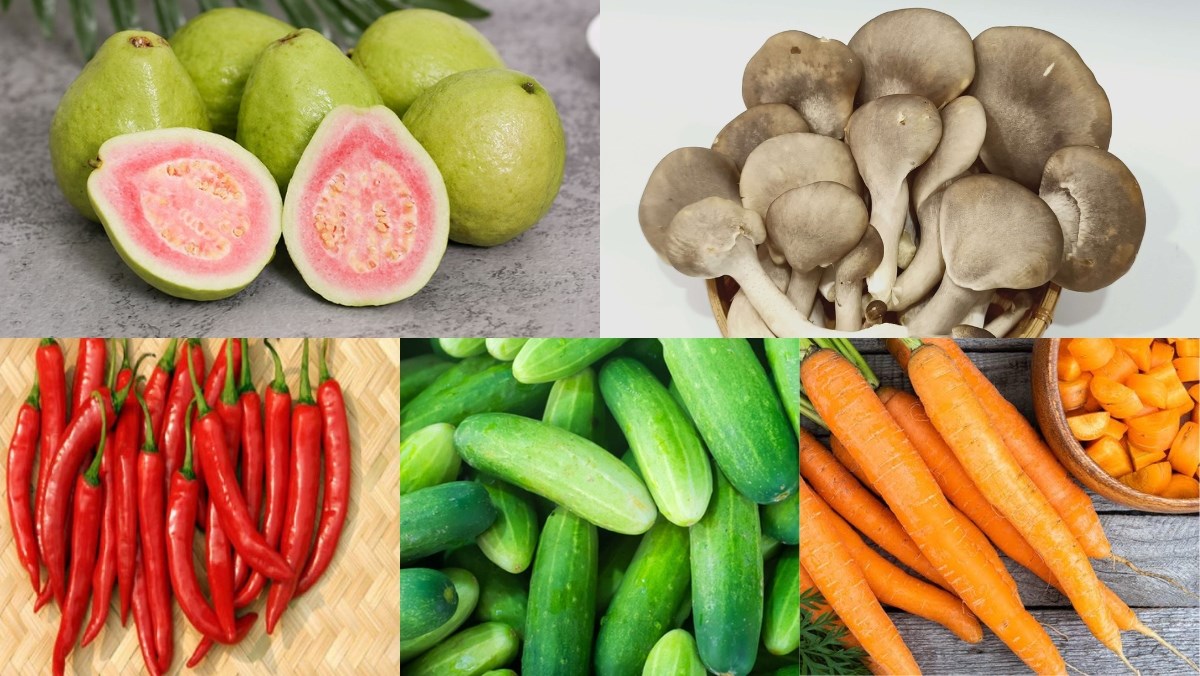 Nguyên liệu món ăn gỏi ổi chay