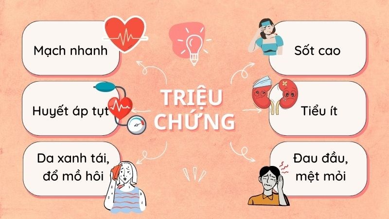 6. Kết luận và triển vọng nghiên cứu