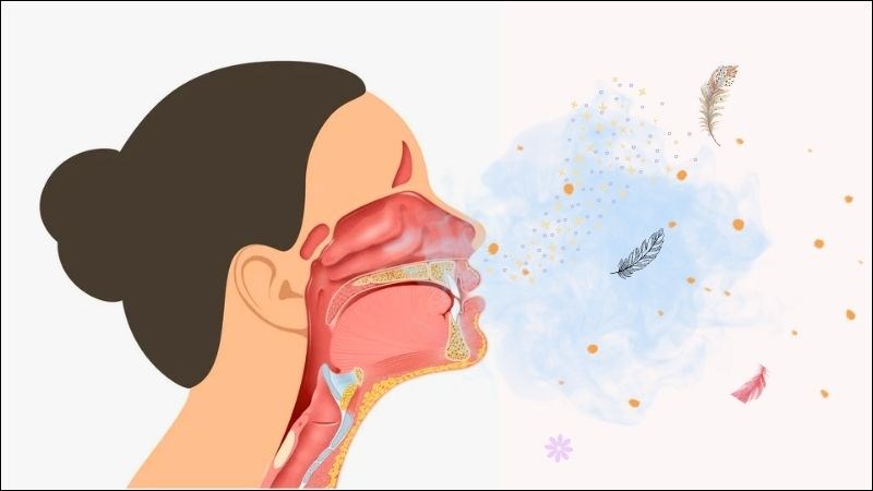 Dị ứng phấn hoa, khói bụi,... có thể gây viêm họng mạn