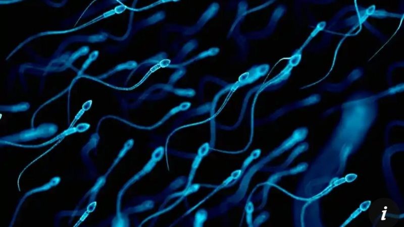 Viêm tiền liệt tuyến làm giảm số lượng tinh trùng
