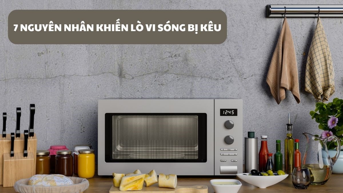 Lò vi sóng bị kêu