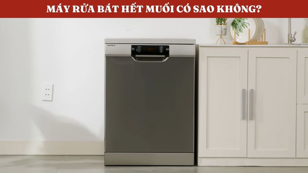 Máy rửa bát hết muối có sao không?