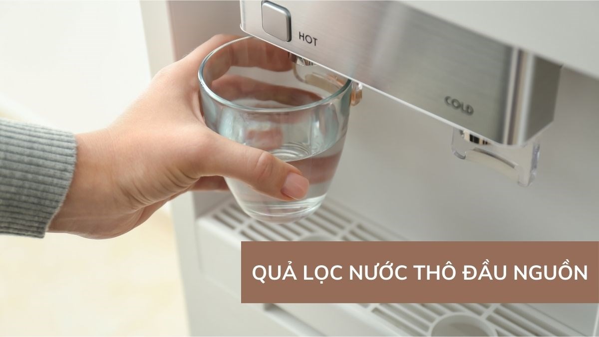 Quả lọc nước thô đầu nguồn