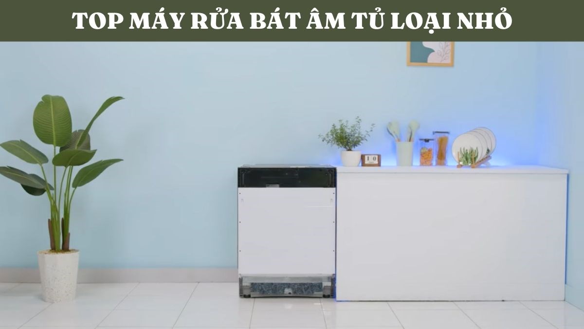 Top máy rửa bát âm tủ loại nhỏ