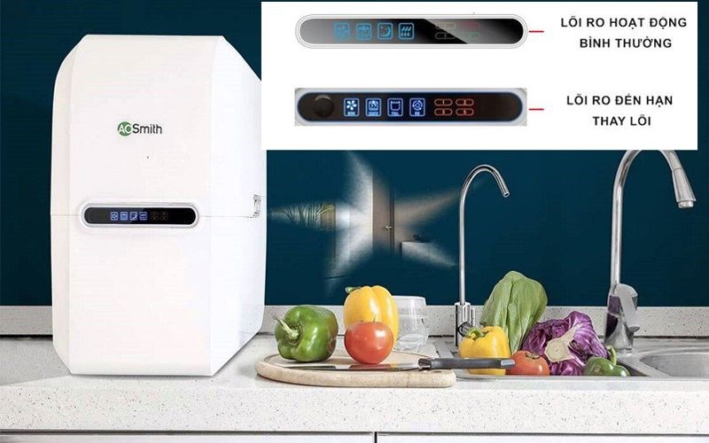 L&otilde;i lọc AO Smith bị hỏng hoặc lọc nước k&eacute;m: