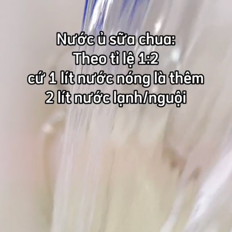 Bước 3 Ủ sữa chua phô mai Sữa chua phô mai cốm non (Công thức từ kênh tiktok Vào bếp Cùng Điện máy XANH)