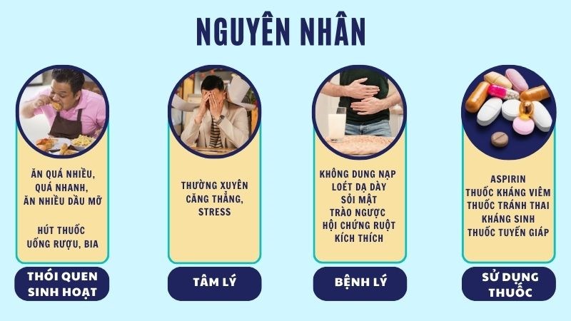 Ăn không tiêu có thể do nhiều nguyên nhân từ lối sống, tâm lý, bệnh lý và thuốc đang dùng